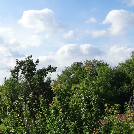 Haus Waldblick Holiday home